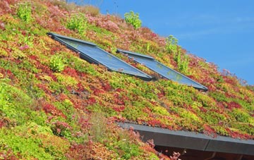 Depden living roof systems